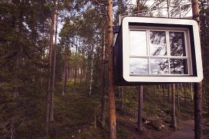 Treehotel Baumhotel Package – 4 Tage Schweden – ThobaReisen